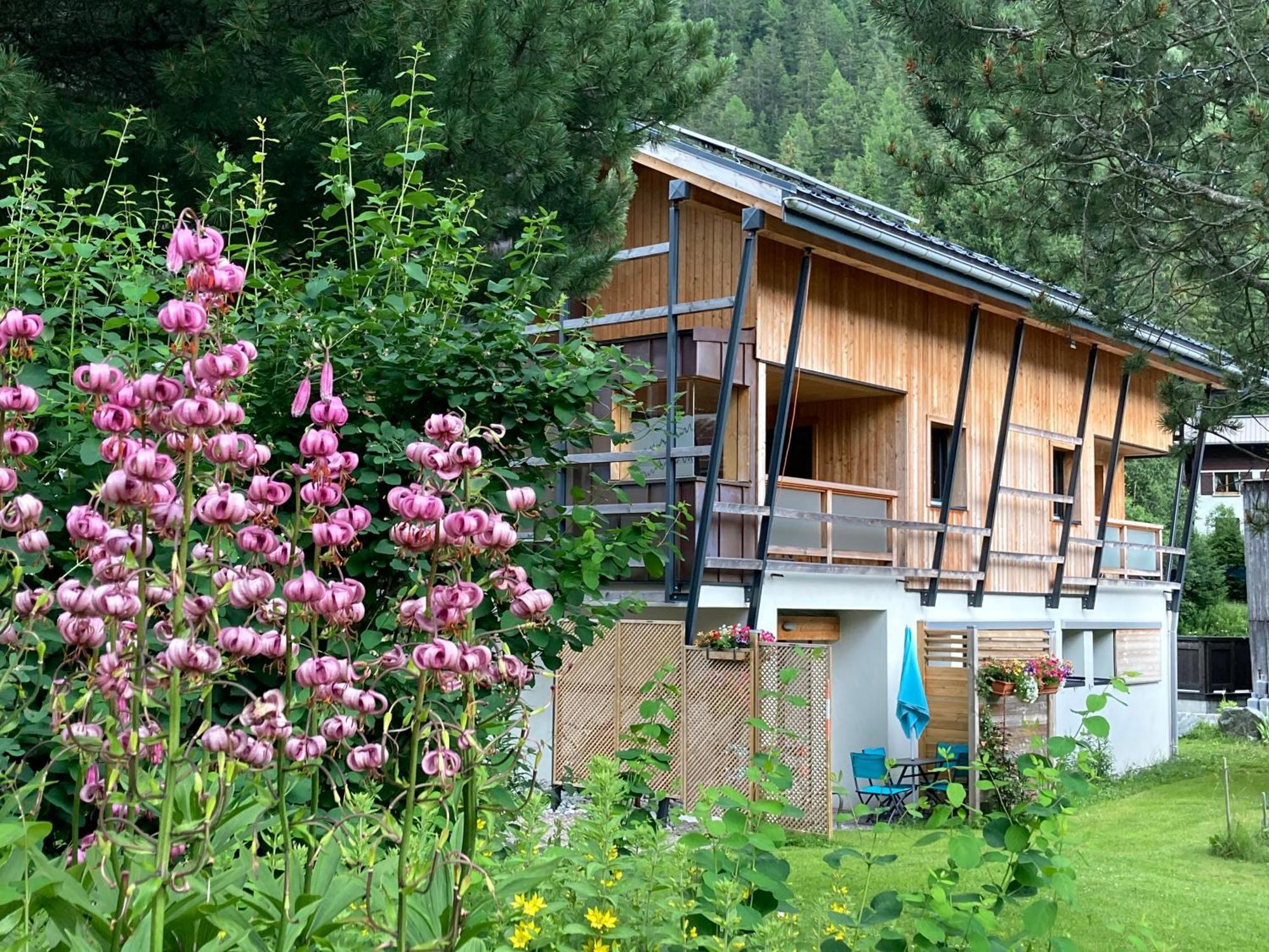 Chalet Walser A Vallorcine 13 Kms Chamonix France מראה חיצוני תמונה