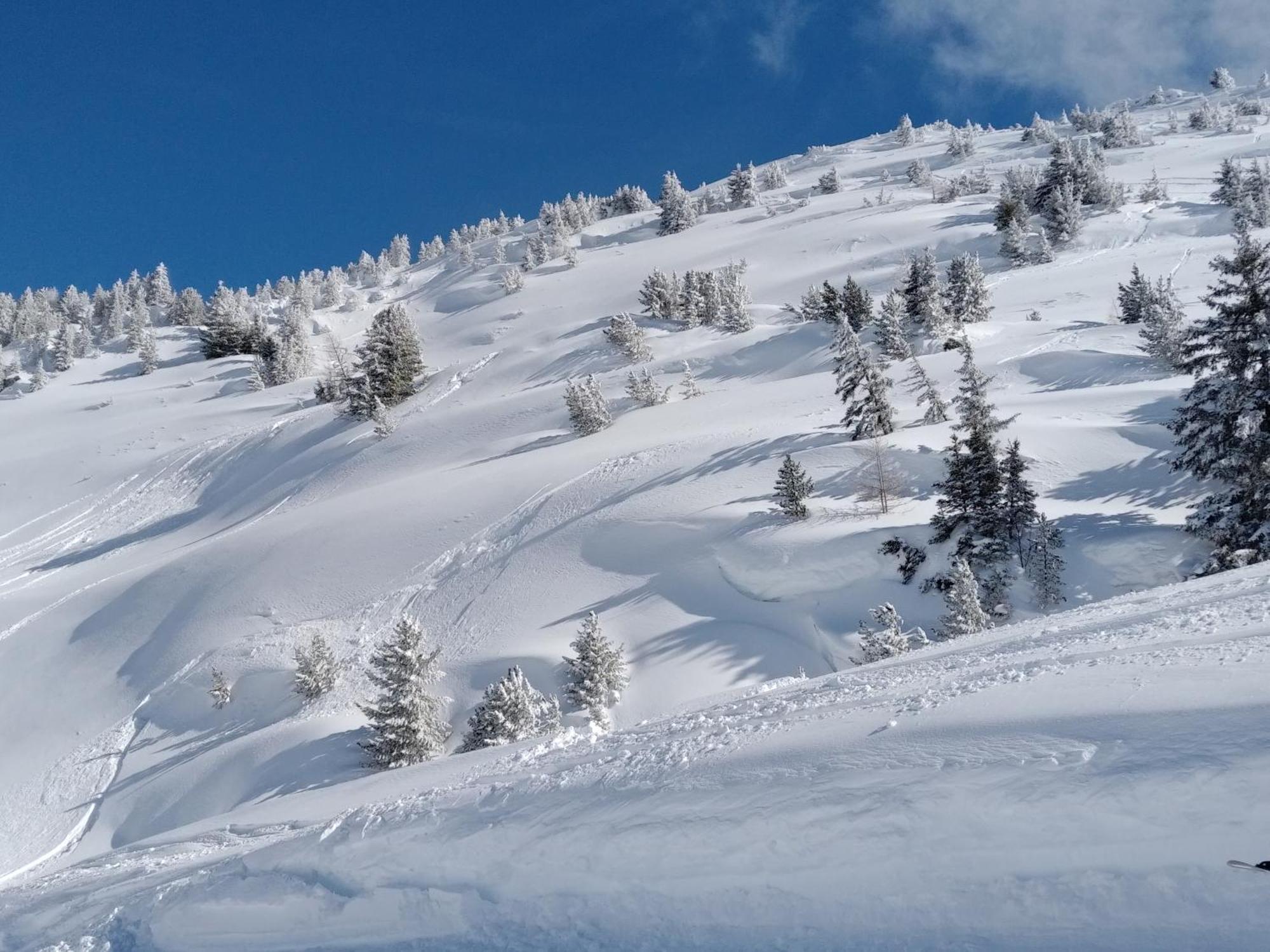 Chalet Walser A Vallorcine 13 Kms Chamonix France מראה חיצוני תמונה
